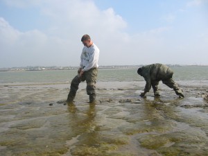 Biofilm Collection in Colne Estuary